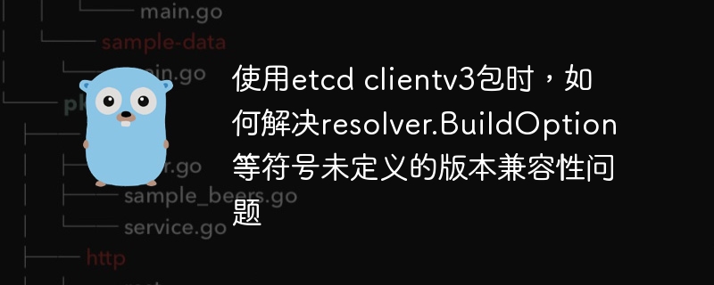 使用etcd clientv3包时,如何解决resolver.buildoption等符号未定义的版本兼容性问题