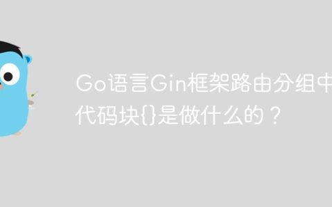 Go语言Gin框架路由分组中的代码块{}是做什么的？