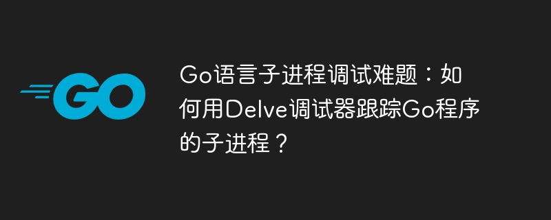 go语言子进程调试难题:如何用delve调试器跟踪go程序的子进程?