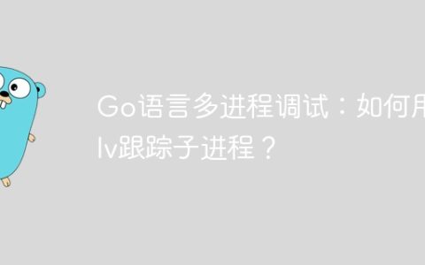 Go语言多进程调试：如何用dlv跟踪子进程？
