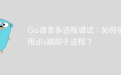 Go语言多进程调试：如何使用dlv跟踪子进程？