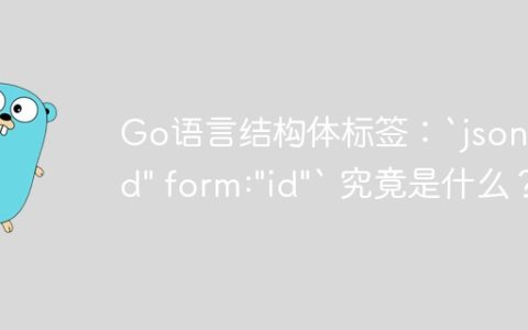 Go语言结构体标签：`json:”id” form:”id”` 究竟是什么？