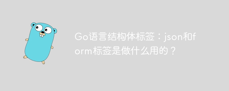 go语言结构体标签:json和form标签是做什么用的?