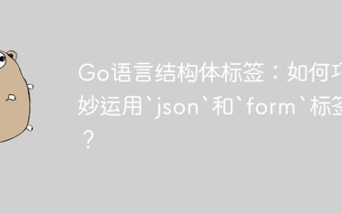 Go语言结构体标签：如何巧妙运用`json`和`form`标签？