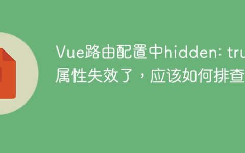 Vue路由配置中hidden: true属性失效了，应该如何排查？