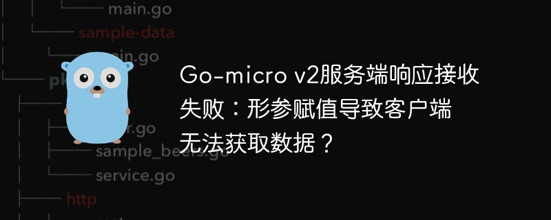 go-micro v2服务端响应接收失败:形参赋值导致客户端无法获取数据?