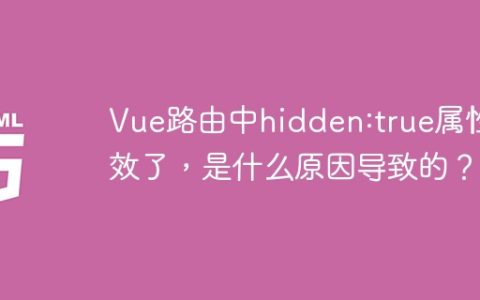 Vue路由中hidden:true属性失效了，是什么原因导致的？