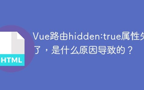 Vue路由hidden:true属性失效了，是什么原因导致的？