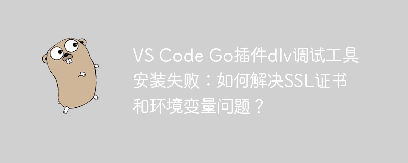 vs code go插件dlv调试工具安装失败:如何解决ssl证书和环境变量问题?