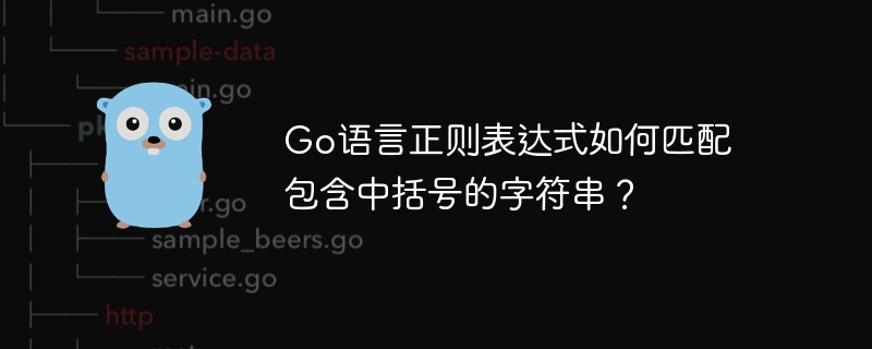 go语言正则表达式如何匹配包含中括号的字符串?