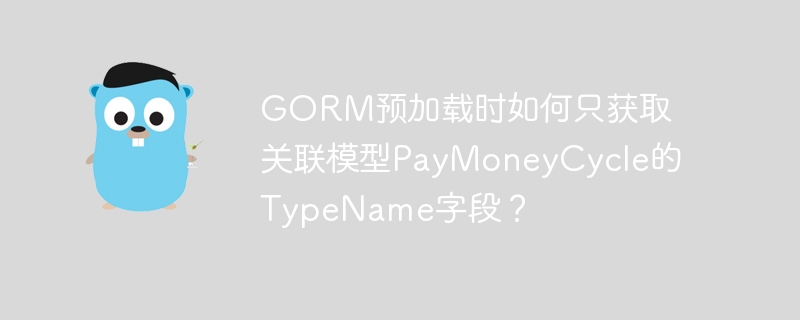 GORM预加载时如何只获取关联模型PayMoneyCycle的TypeName字段?