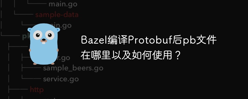 bazel编译protobuf后pb文件在哪里以及如何使用？