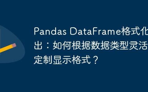 Pandas DataFrame格式化输出：如何根据数据类型灵活定制显示格式？