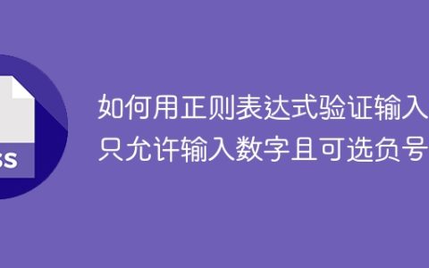 如何用正则表达式验证输入框只允许输入数字且可选负号？
