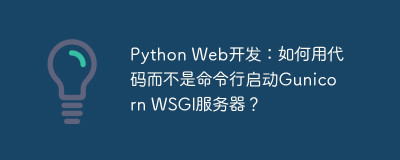 python web开发:如何用代码而不是命令行启动gunicorn wsgi服务器?