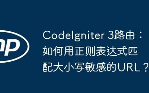 CodeIgniter 3路由：如何用正则表达式匹配大小写敏感的URL？