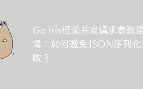 Go Iris框架并发请求参数混淆：如何避免JSON序列化失败？
