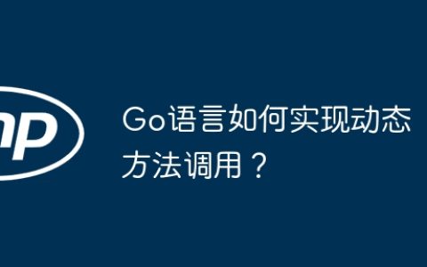 Go语言如何实现动态方法调用？