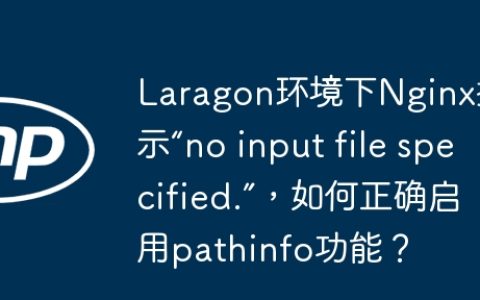 Laragon环境下Nginx提示“no input file specified.”，如何正确启用pathinfo功能？