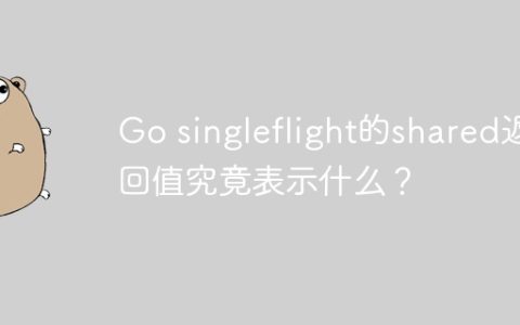 Go singleflight的shared返回值究竟表示什么？