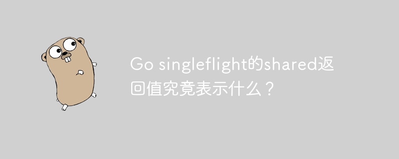 go singleflight的shared返回值究竟表示什么?