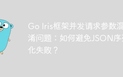 Go Iris框架并发请求参数混淆问题：如何避免JSON序列化失败？