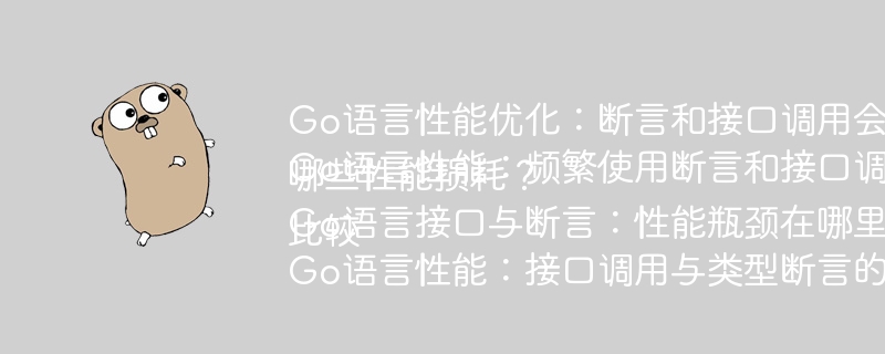 Go语言性能优化：断言和接口调用会降低性能吗？Go语言性能：频繁使用断言和接口调用会带来哪些性能损耗？Go语言接口与断言：性能瓶颈在哪里？Go语言性能：接口调用与类型断言的性能比较