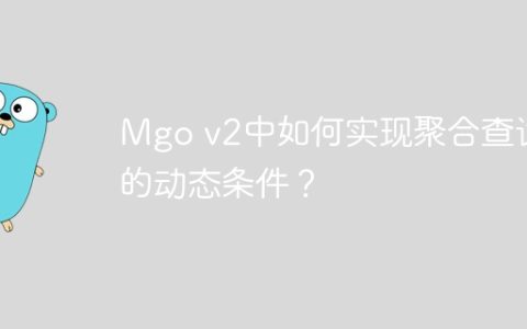 Mgo v2中如何实现聚合查询的动态条件？