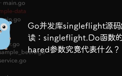 Go并发库singleflight源码解读：singleflight.Do函数的shared参数究竟代表什么？