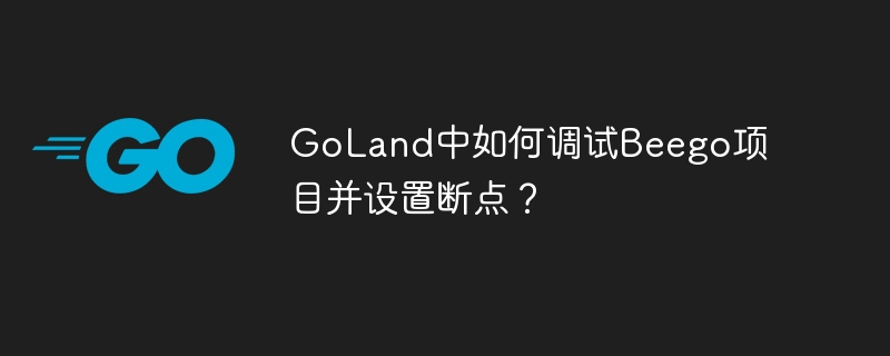goland中如何调试beego项目并设置断点?