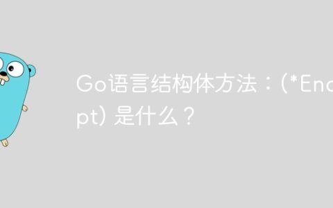 Go语言结构体方法：(*Encrypt) 是什么？