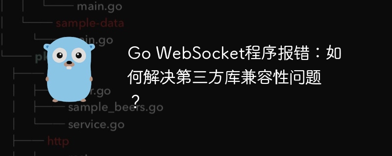 Go WebSocket程序报错：如何解决第三方库兼容性问题？