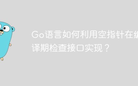Go语言如何利用空指针在编译期检查接口实现？