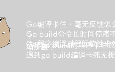 Go编译卡住，毫无反馈怎么办？
Go build命令长时间停滞不前如何排查？
Go程序编译过程间歇性卡死，如何快速解决？
运行go build时程序卡住且无错误信息，用什么方法调试？
遇到go build编译卡死无提示的情况，如何利用 -v 选项排查？