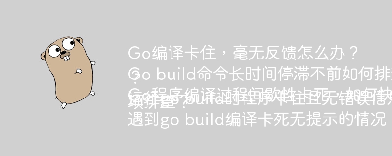 Go编译卡住,毫无反馈怎么办?Go build命令长时间停滞不前如何排查?Go程序编译过程间歇性卡死,如何快速解决?运行go build时程序卡住且无错误信息,用什么方法调试?遇到go build编译卡死无提示的情况,如何利用 -v 选项排查?