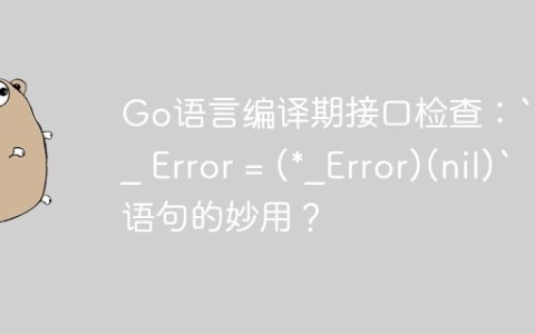 Go语言编译期接口检查：`var _ Error = (*_Error)(nil)` 语句的妙用？