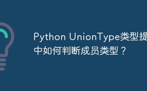 Python UnionType类型提示中如何判断成员类型？