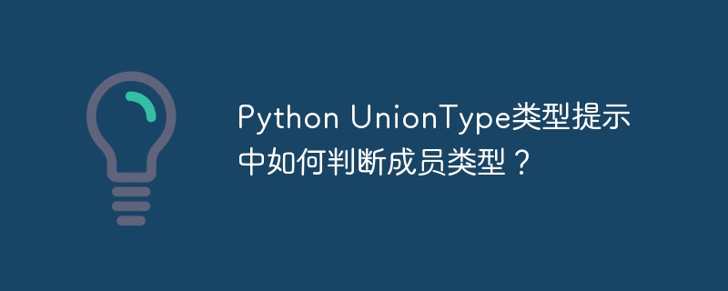 python uniontype类型提示中如何判断成员类型?