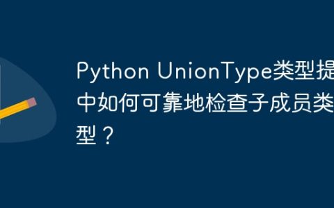 Python UnionType类型提示中如何可靠地检查子成员类型？