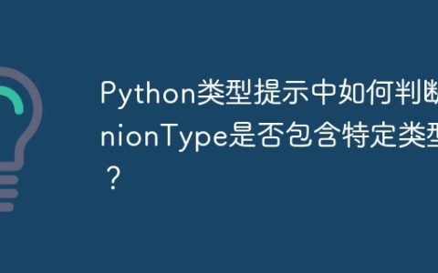 Python类型提示中如何判断UnionType是否包含特定类型？