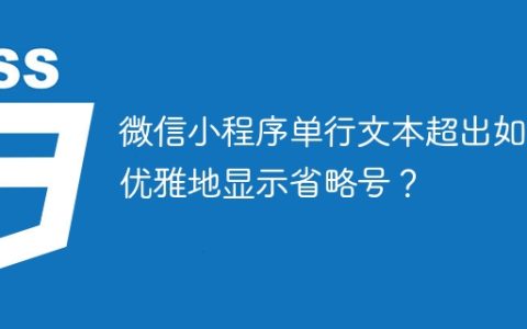微信小程序单行文本超出如何优雅地显示省略号？