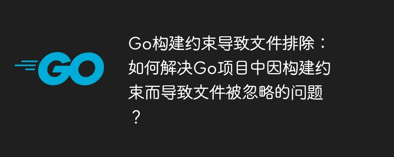 Go构建约束导致文件排除:如何解决Go项目中因构建约束而导致文件被忽略的问题?
