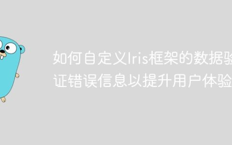 如何自定义Iris框架的数据验证错误信息以提升用户体验？