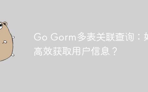 Go Gorm多表关联查询：如何高效获取用户信息？