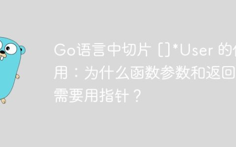 Go语言中切片 []*User 的使用：为什么函数参数和返回值需要用指针？