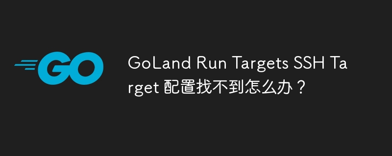 goland run targets ssh target 配置找不到怎么办?