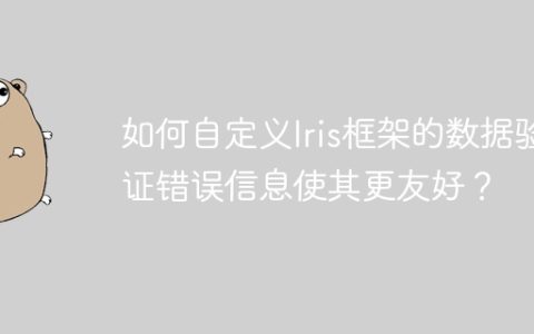 如何自定义Iris框架的数据验证错误信息使其更友好？