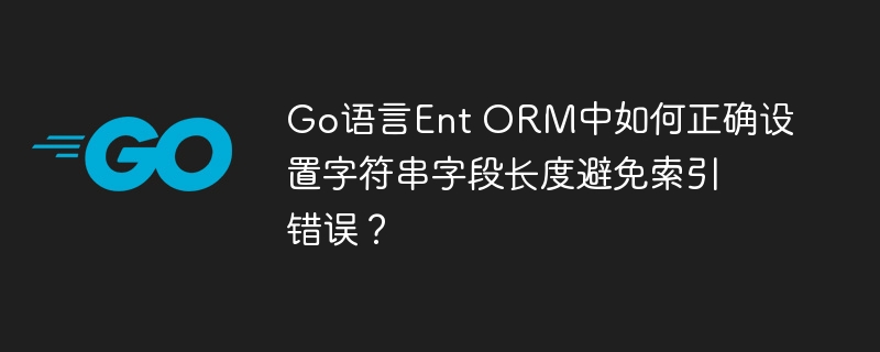 go语言ent orm中如何正确设置字符串字段长度避免索引错误?