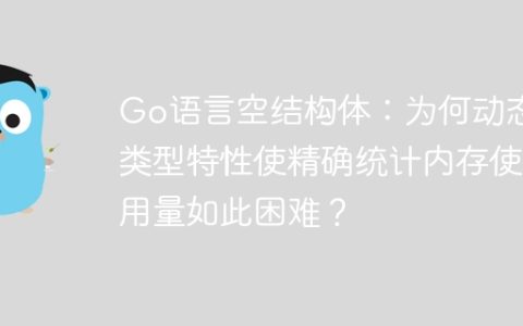 Go语言空结构体：为何动态类型特性使精确统计内存使用量如此困难？