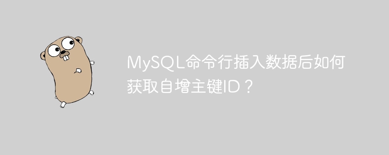 mysql命令行插入数据后如何获取自增主键id?